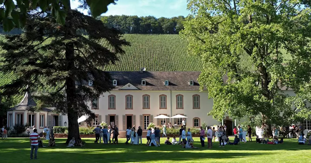 „Eine der best-organisierten Weinveranstaltungen in Deutschland“: Saar-Riesling-Sommer: Diese Spitzenweingüter laden zur Verkostungsreise ein