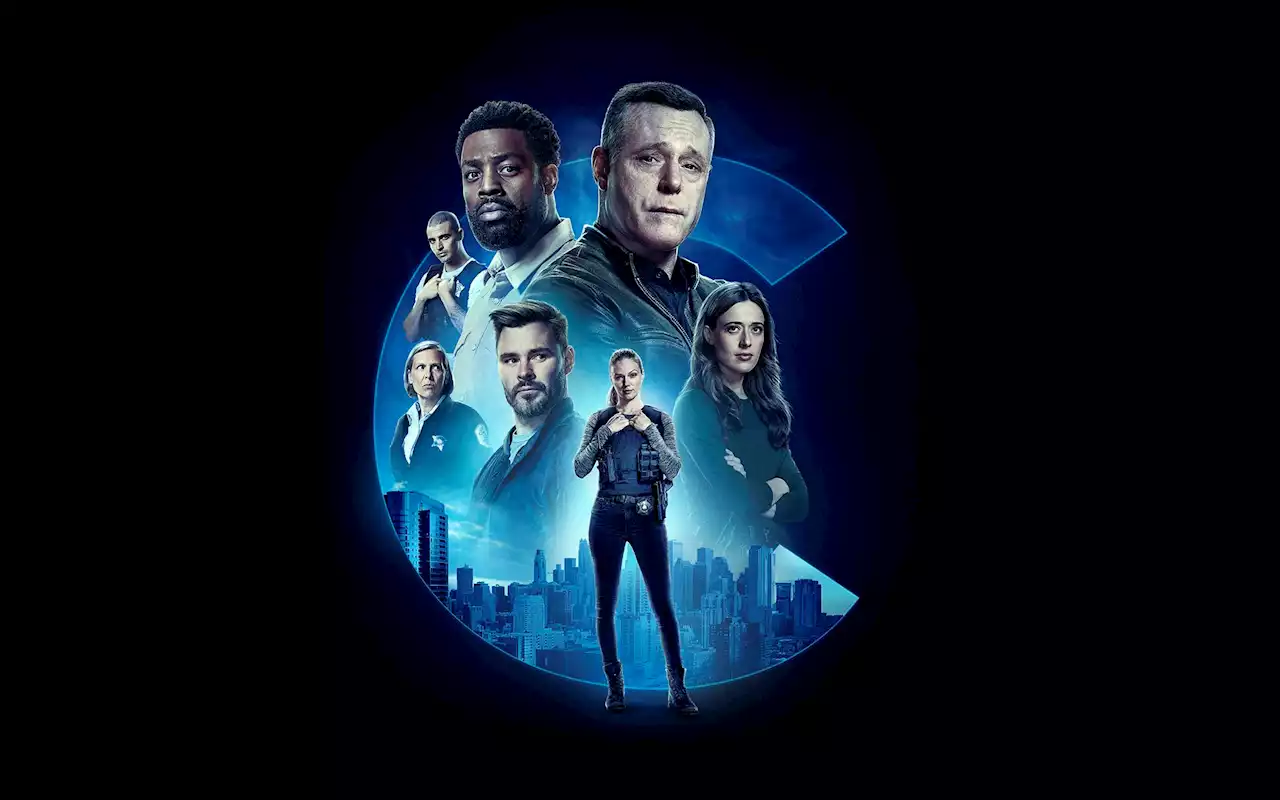 Chicago PD: onde assistir as temporadas de Distrito 21 no streaming?