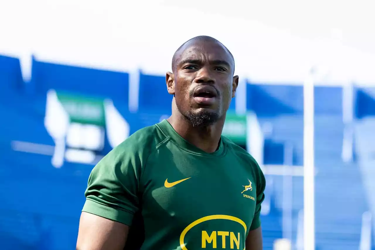 Mapimpi says young stars have brought fresh energy to Bok squad