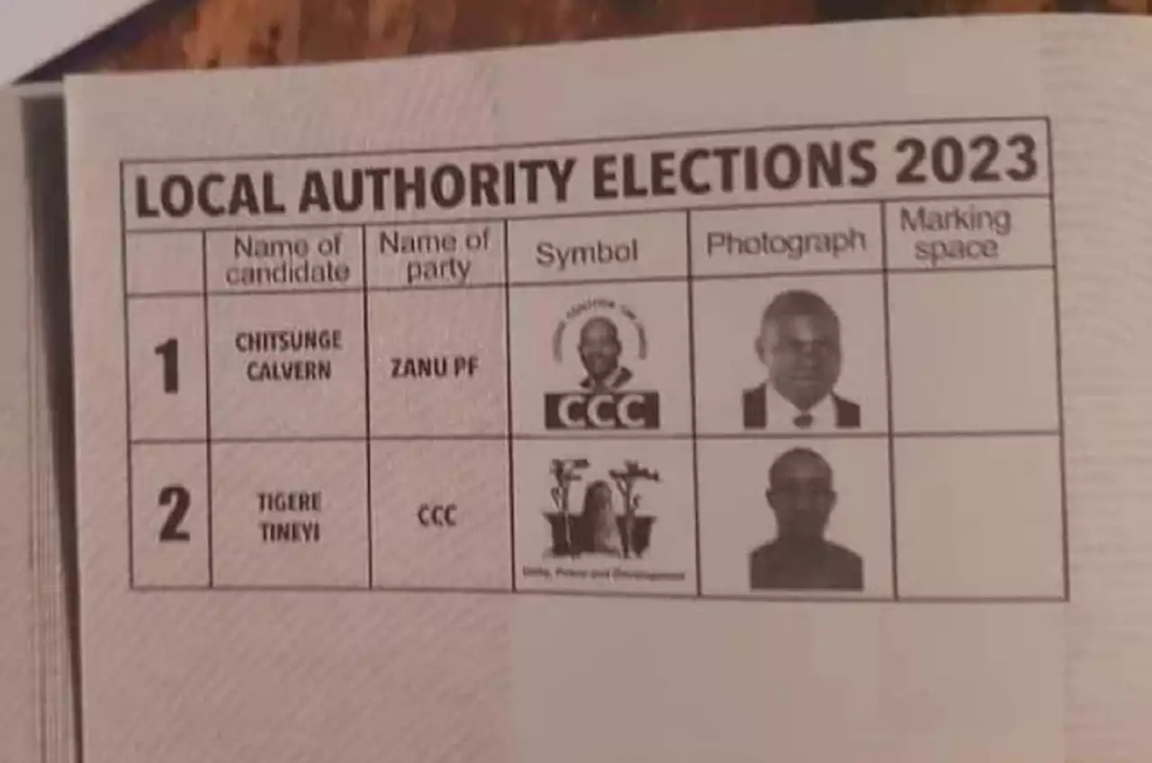 ANC logo on Malema's face: Zimbabwe's ballot paper mistake shocks the world [pictures]