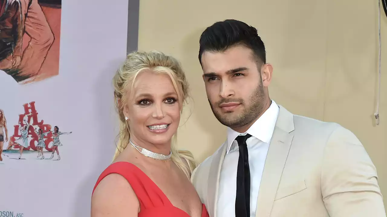 Britney Spears forced to split up dogs she owns with Sam Asghari amid divorce