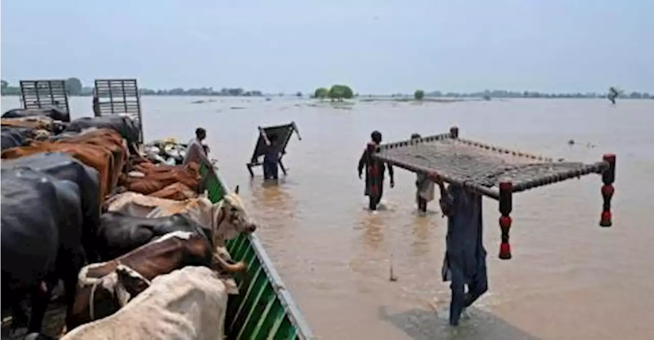 Around 100,000 people evacuated due to floods in Pakistan