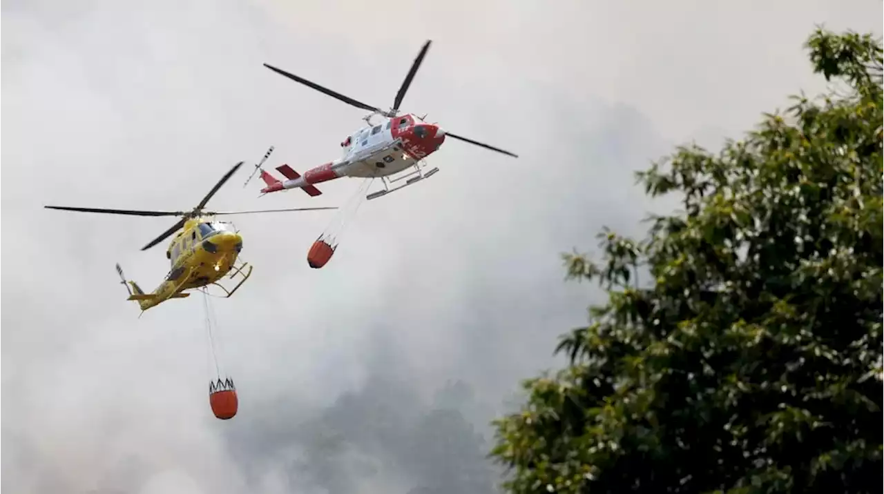 Un campesino de 80 años derribó a pedradas un helicóptero que combatía un incendio en Tenerife