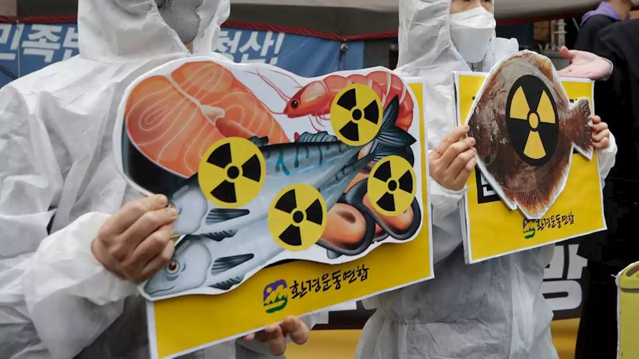 Protests in South Korea amid concerns over Fukushima water release by Japan