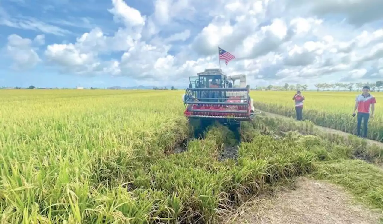 Projek Smart SBB bantu tingkatkan hasil pesawah 50 peratus