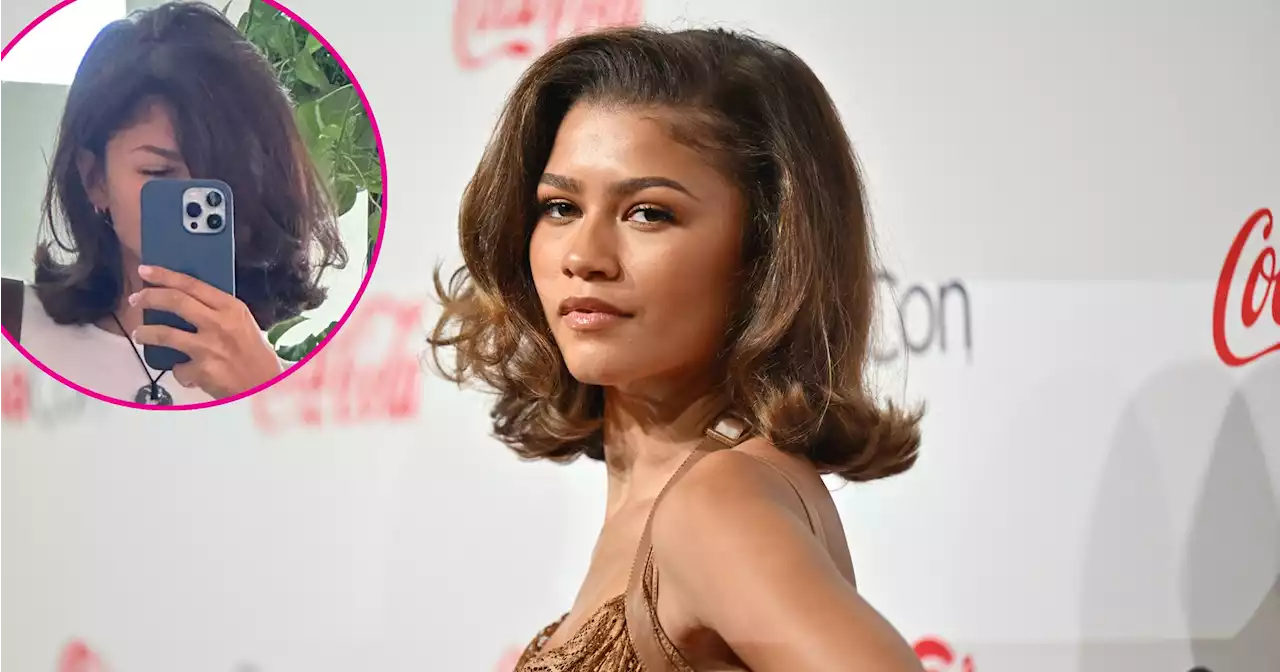 Zendaya Shows Off Her Bouncy Hair 'Refresh'