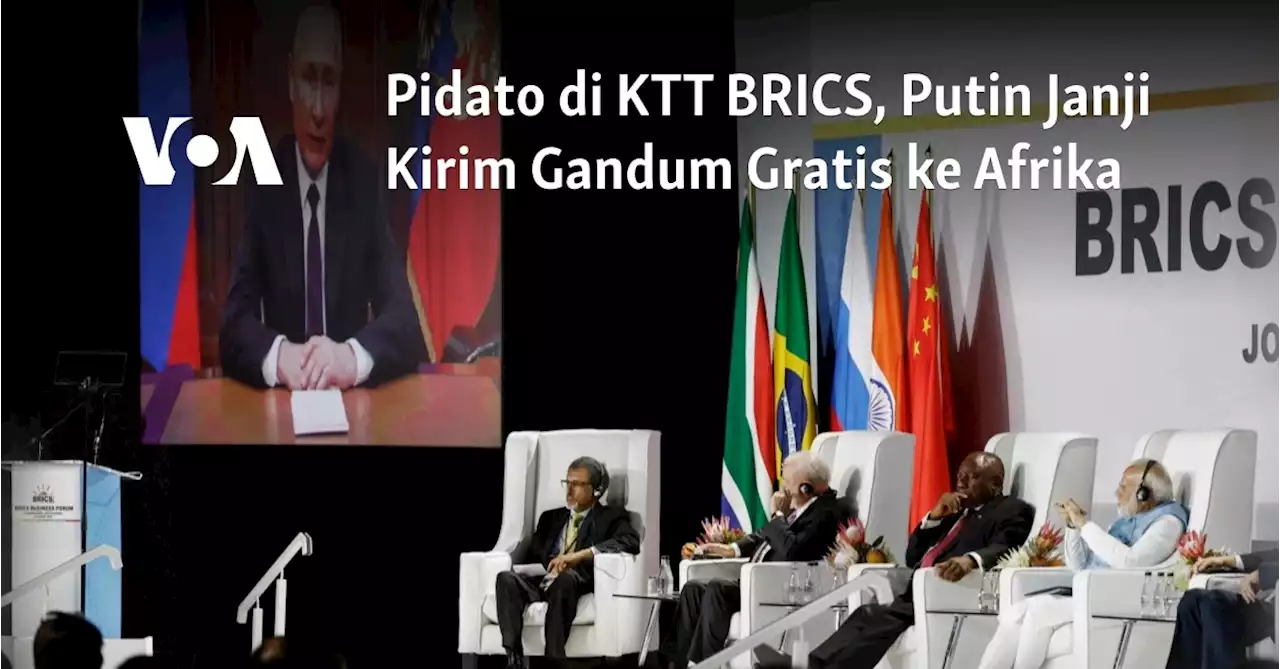 Pidato di KTT BRICS, Putin Janji Kirim Gandum Gratis ke Afrika