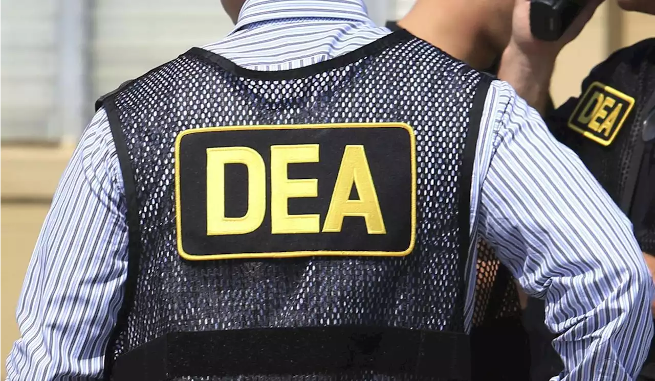 Loads of agents joined DEA despite lying on polygraph test, watchdog says