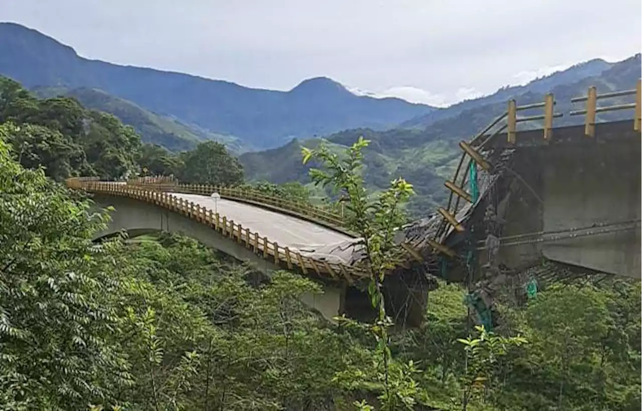 Sector porcícola anuncia pérdidas millonarias por caída del puente Los Grillos