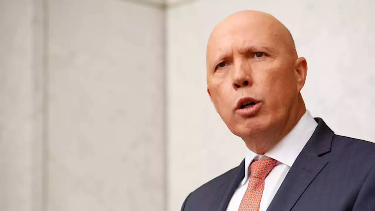 'Just stinks': Peter Dutton to complain to AEC about tick and cross Voice referendum voting