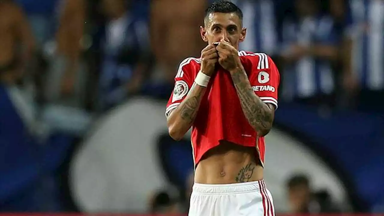 «O treinador do Benfica sabe que não gosto de sair» (Benfica)