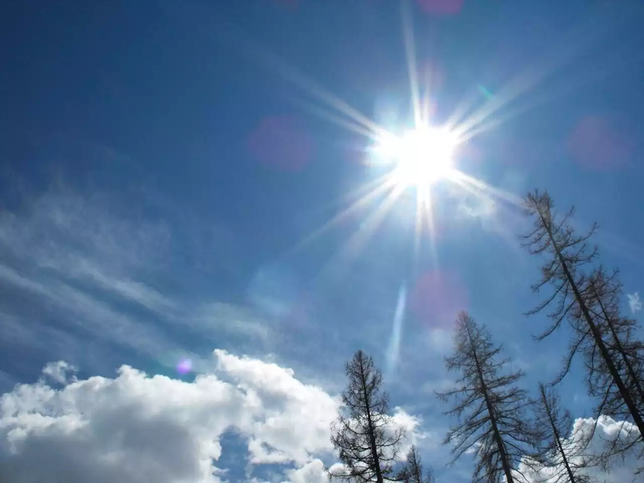 Canicule : la ministre Agnès Firmin Le Bodo en visite dans le Vaucluse ce jeudi 24 août