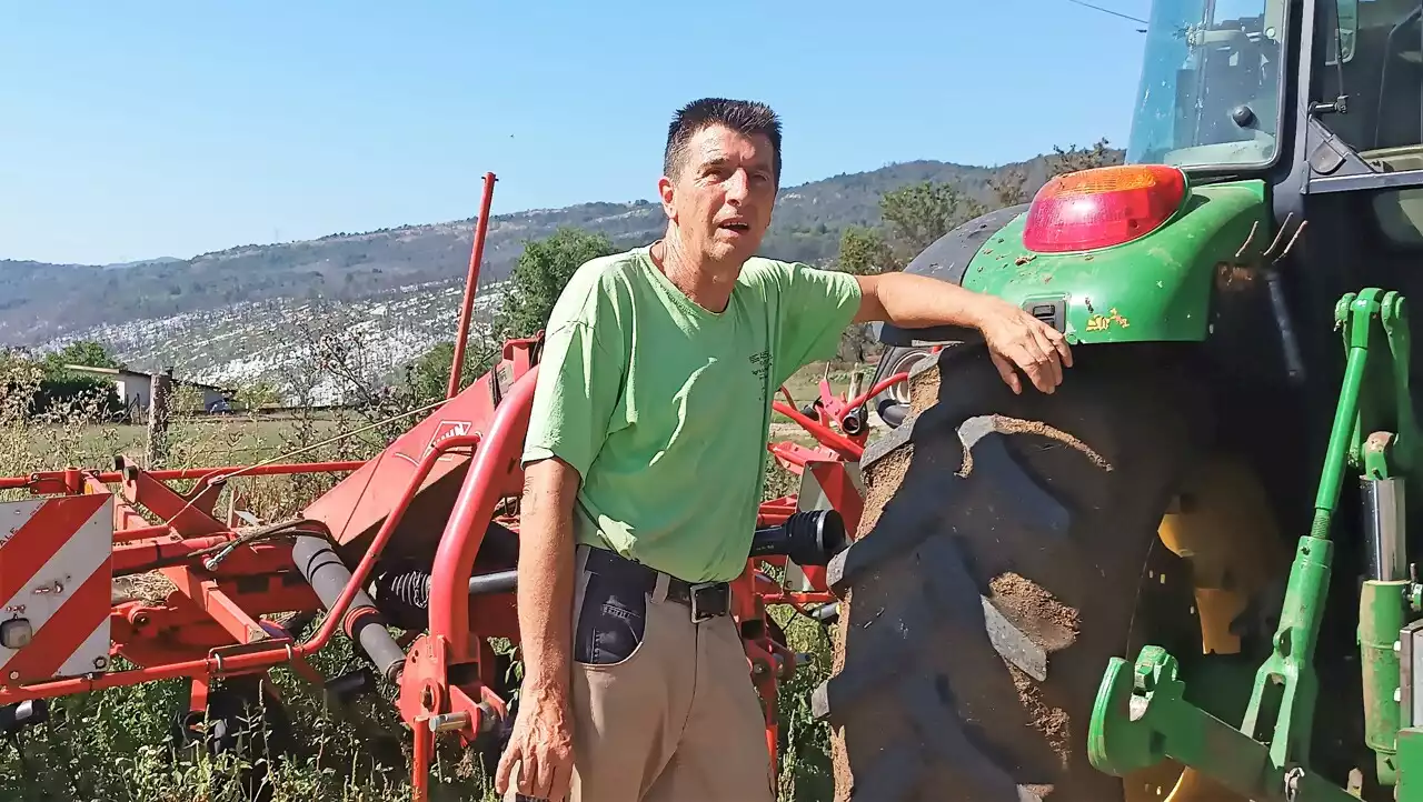 Jura. Un an après les feux de forêt, les agriculteurs enfin indemnisés