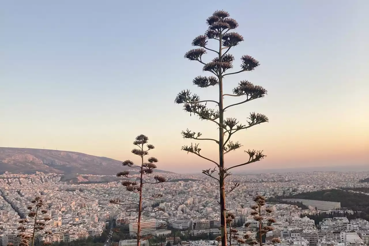 Brilliant Things to Do in Athens