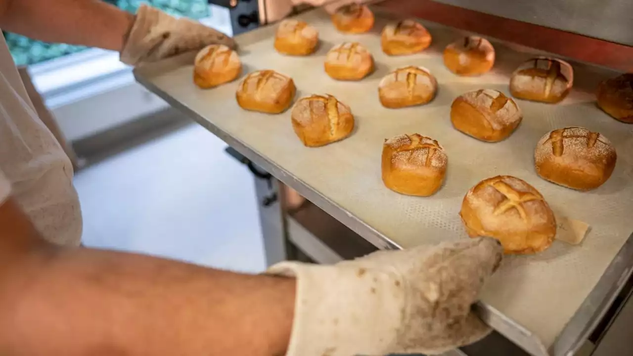 Haben Bäcker an Neujahr in Baden-Württemberg offen?