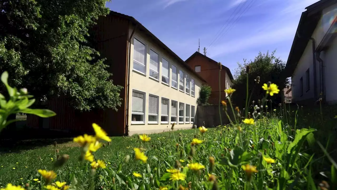 Sudbury-Schule ohne Lehrplan und Noten bleibt geschlossen