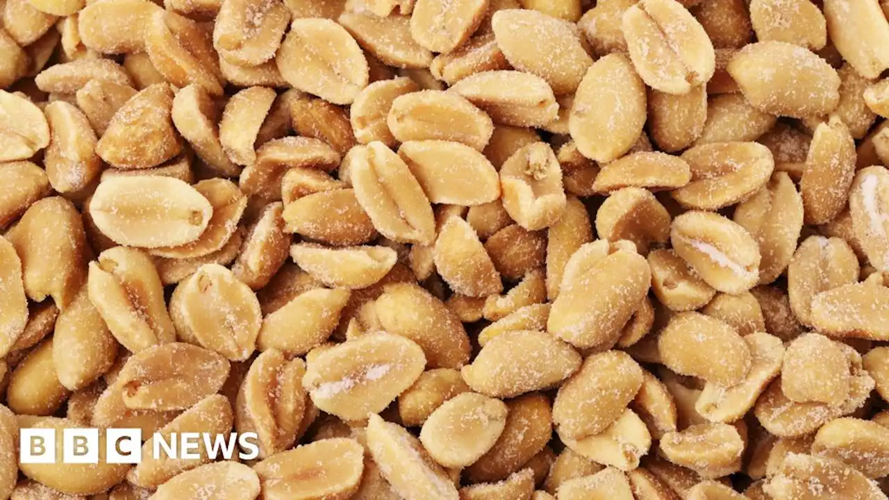 KP workers in Rotherham paid peanuts says strike-threat union