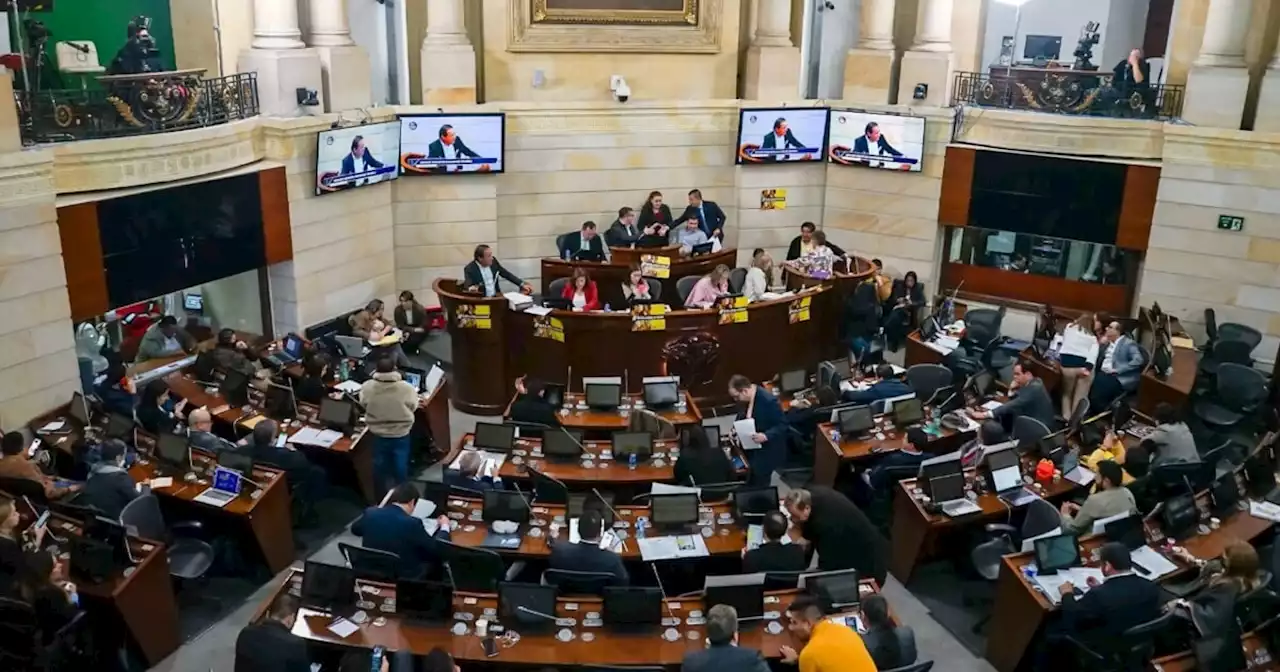 “Que congresistas no ganen sueldo; que trabajen en empresas”: Carlos Meisel sobre polémica propuesta