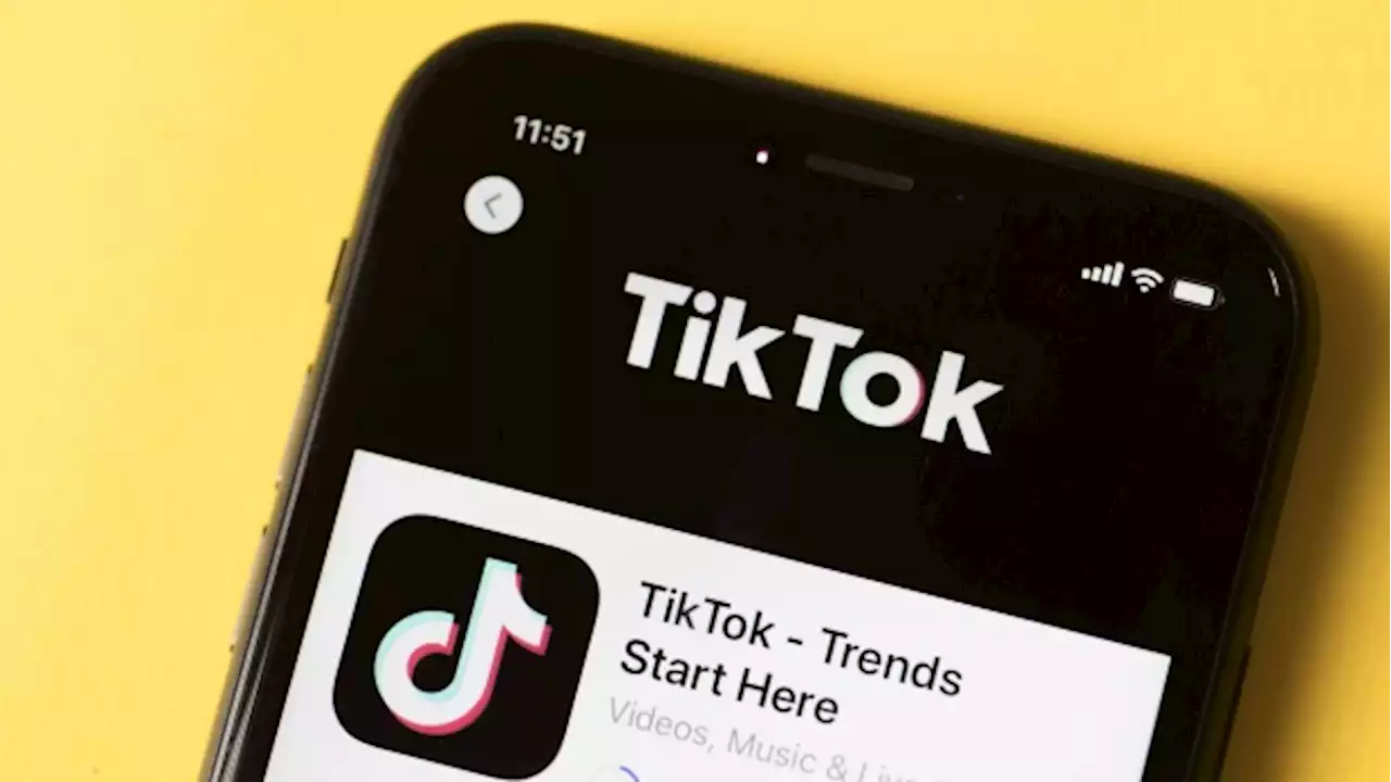 TikTok to Moderate Content in Kenya After Petition on Morality