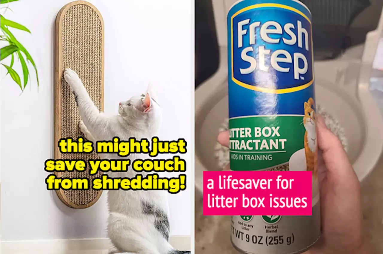 31 Things To Help With The Cat-Related Annoyances In Your Life