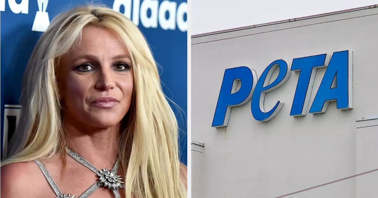 Britney Spears Is Facing Criticism From PETA After Getting A New Puppy Amid Her Divorce: