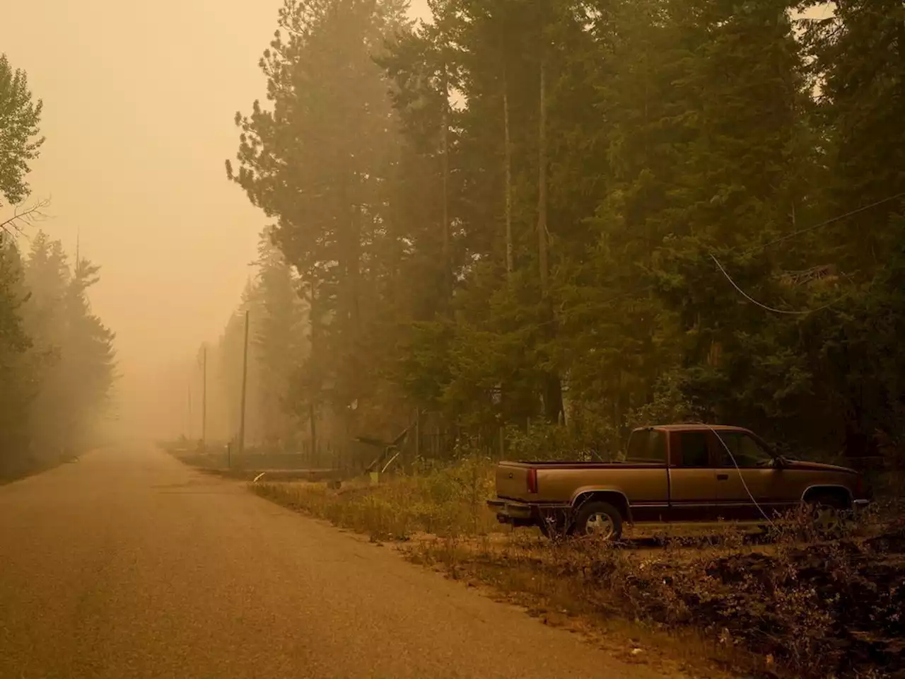 Protesters attempt to bypass RCMP wildfire blockade in Shuswap