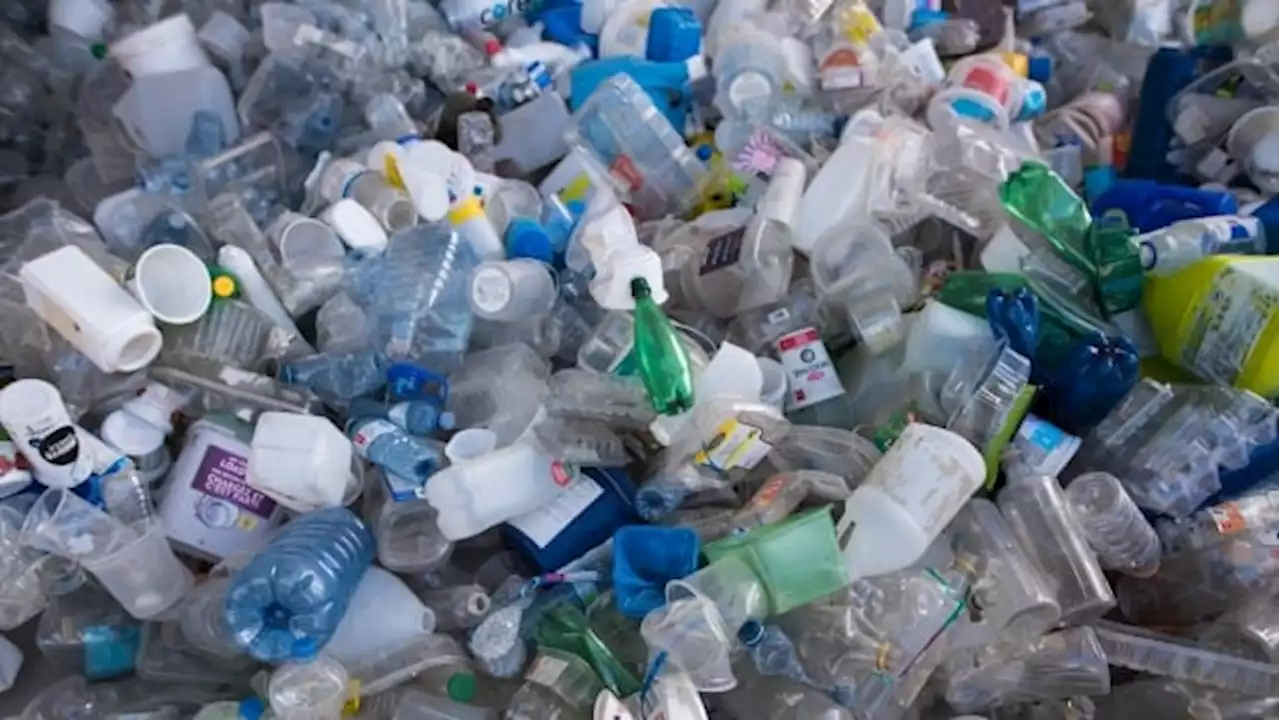 Ottawa says industry's challenge of single-use plastics ban will have no 'practical effect'