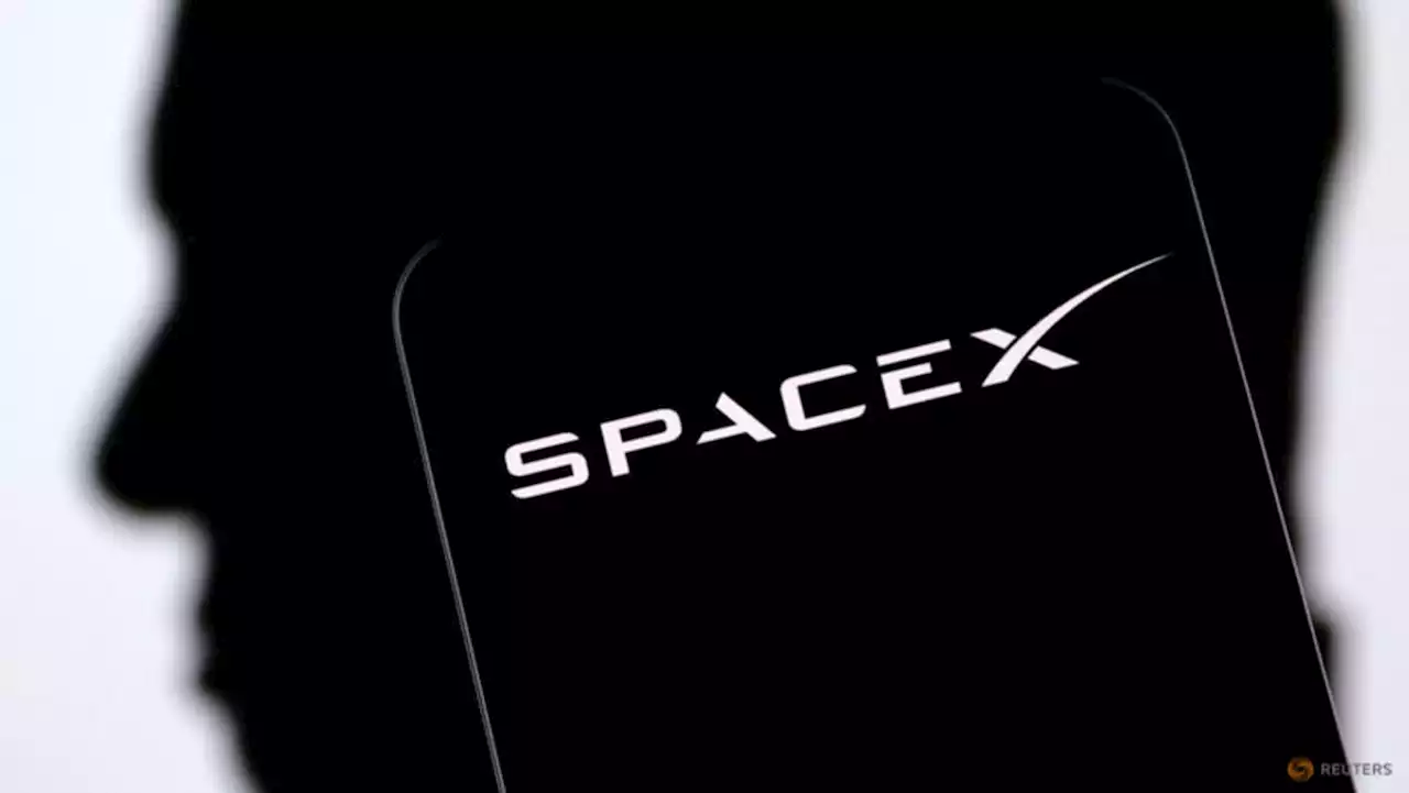 US sues SpaceX for alleged discrimination against asylees, refugees in hiring