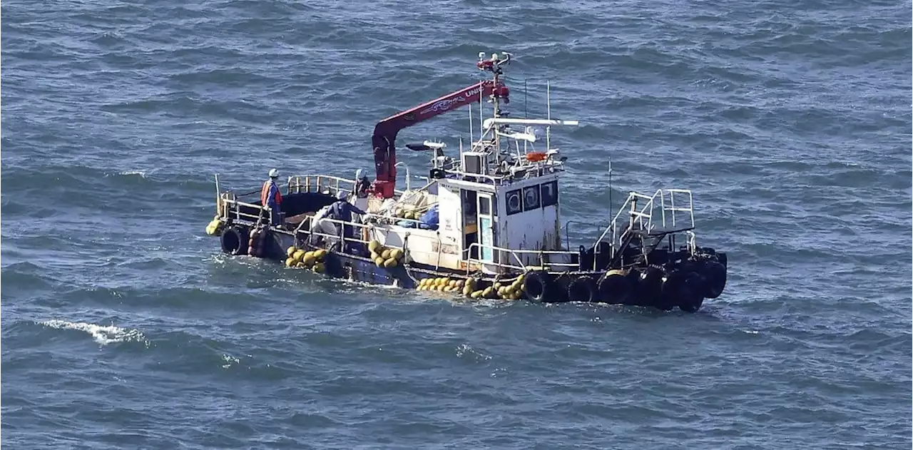 Fukushima: Japón comenzó a verter el agua contaminada al mar a pesar de las protestas