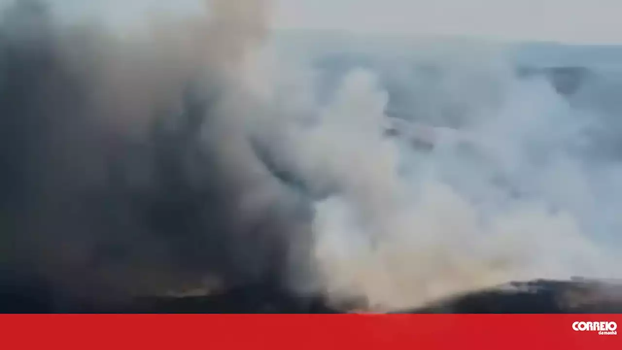 Incêndio obriga ao corte do IC5 e da N221 em Mogadouro. Dez meios aéreos no combate às chamas