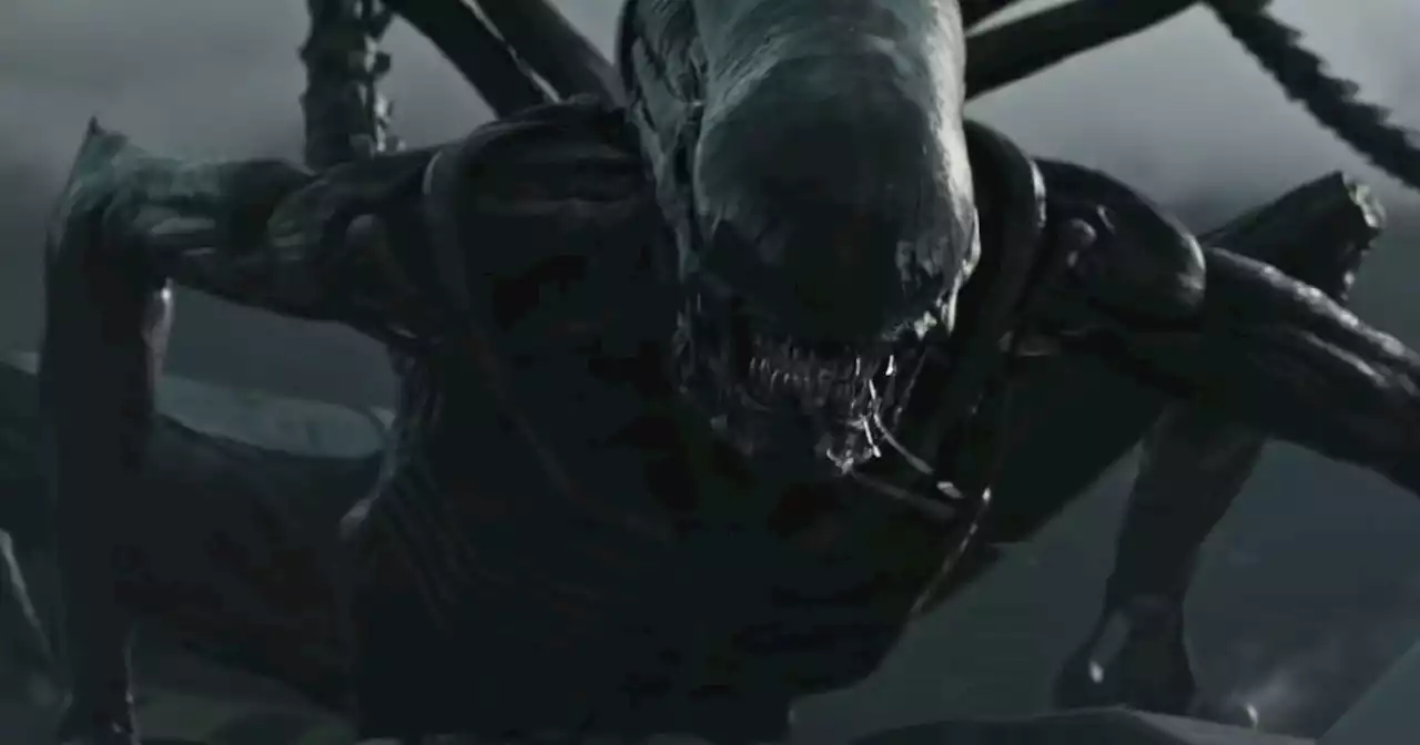 Neill Blomkamp Doesn’t Want to Talk About Alien: ‘It’s Hard to Define How Little I Care’