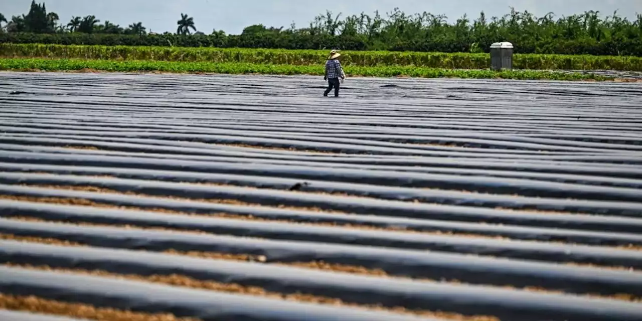 A Hot Labor Summer, Literally