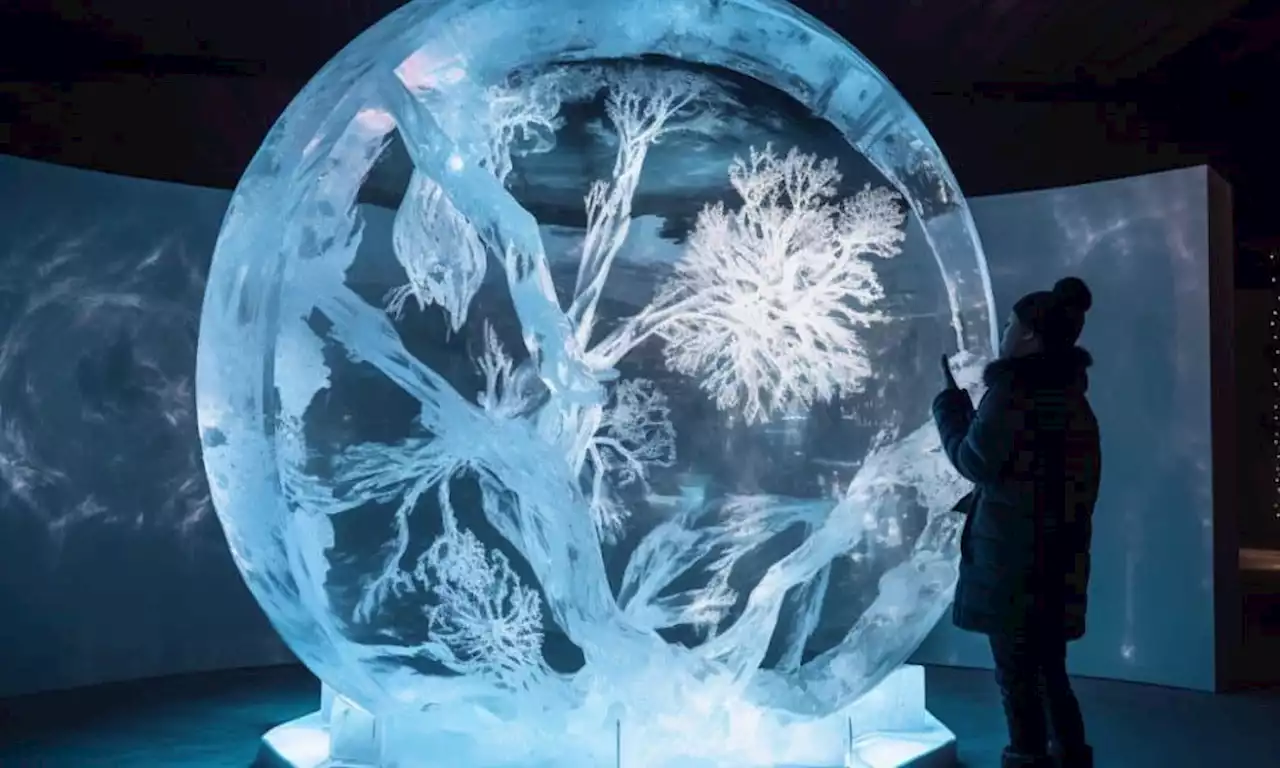 Terra freezes website amid waning interest in native coin LUNA