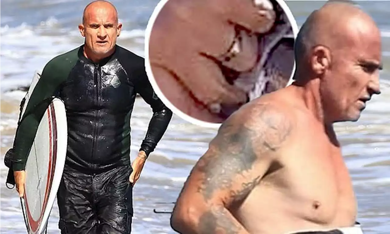 Dominic Purcell seen after Tish Cyrus wedding, flashes ring