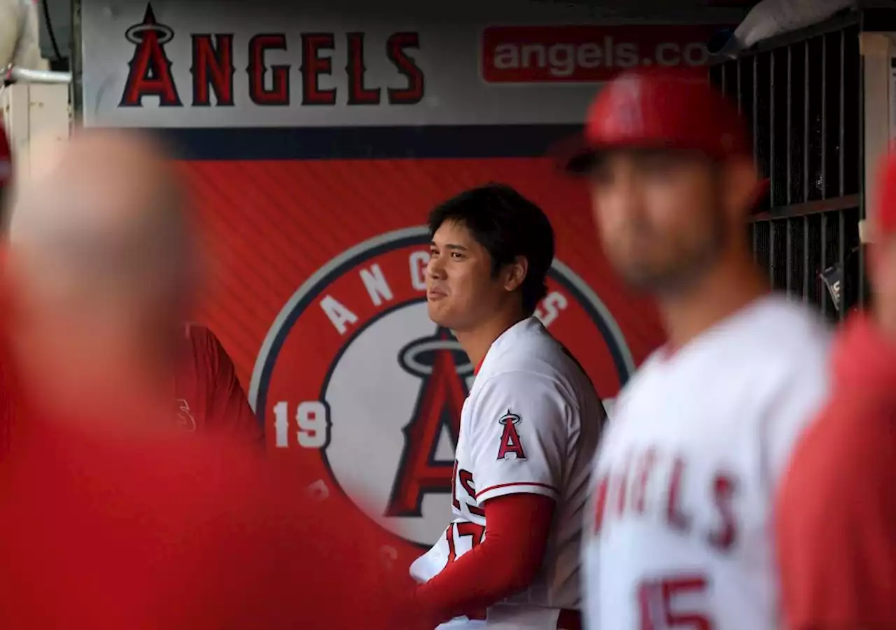 Angels superstar Shohei Ohtani has elbow tear, won’t pitch again this season