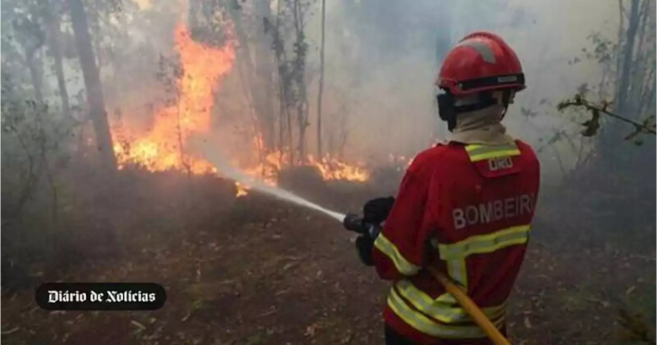 Fogo em Ourém com quase 600 operacionais e ainda sem controlo