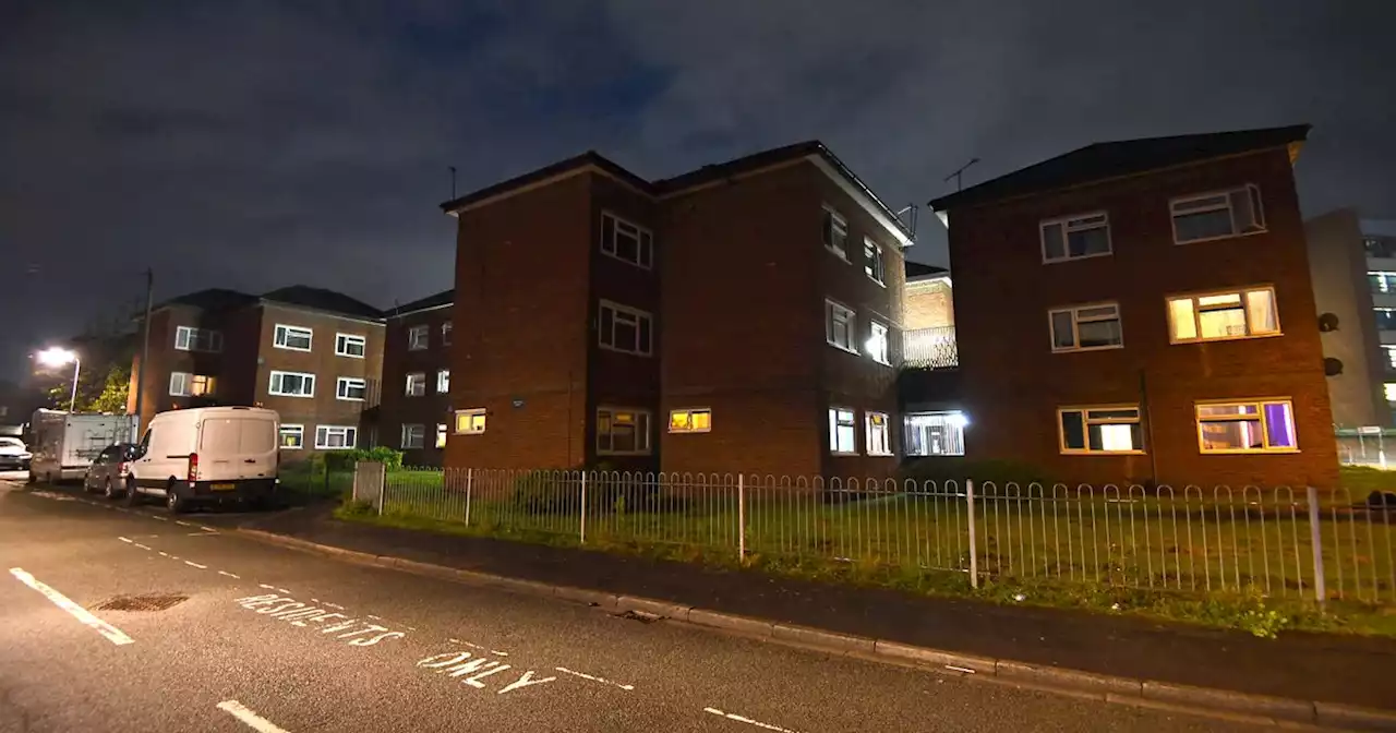 Armed police shout 'open the door' as they point guns at flats