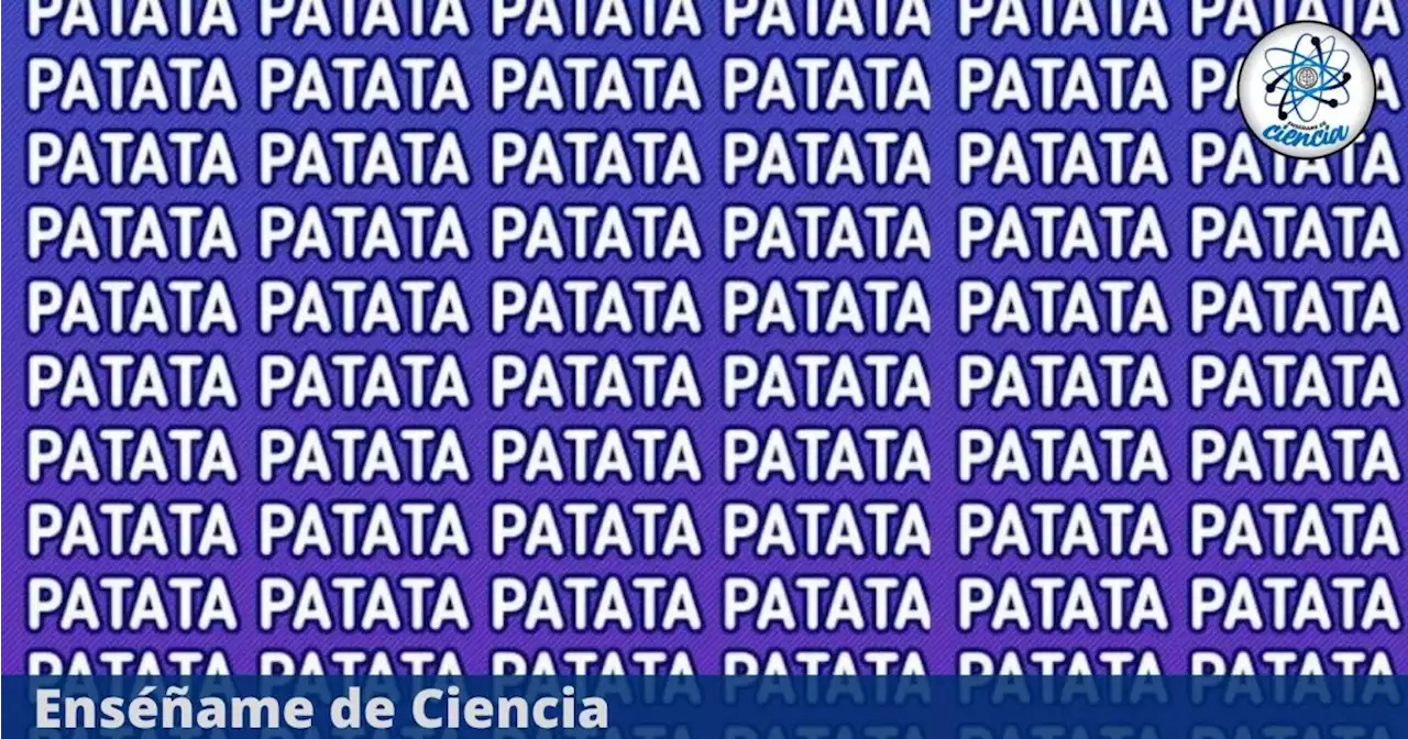 Tienes 4 segundos para encontrar la palabra “PATADA” en este acertijo visual EXTREMO