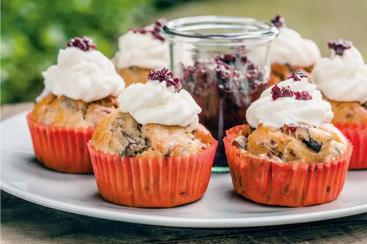 Leckerbissen aus dem Wald: Zeit für Pilze! Und sie schmecken sogar in Cupcakes