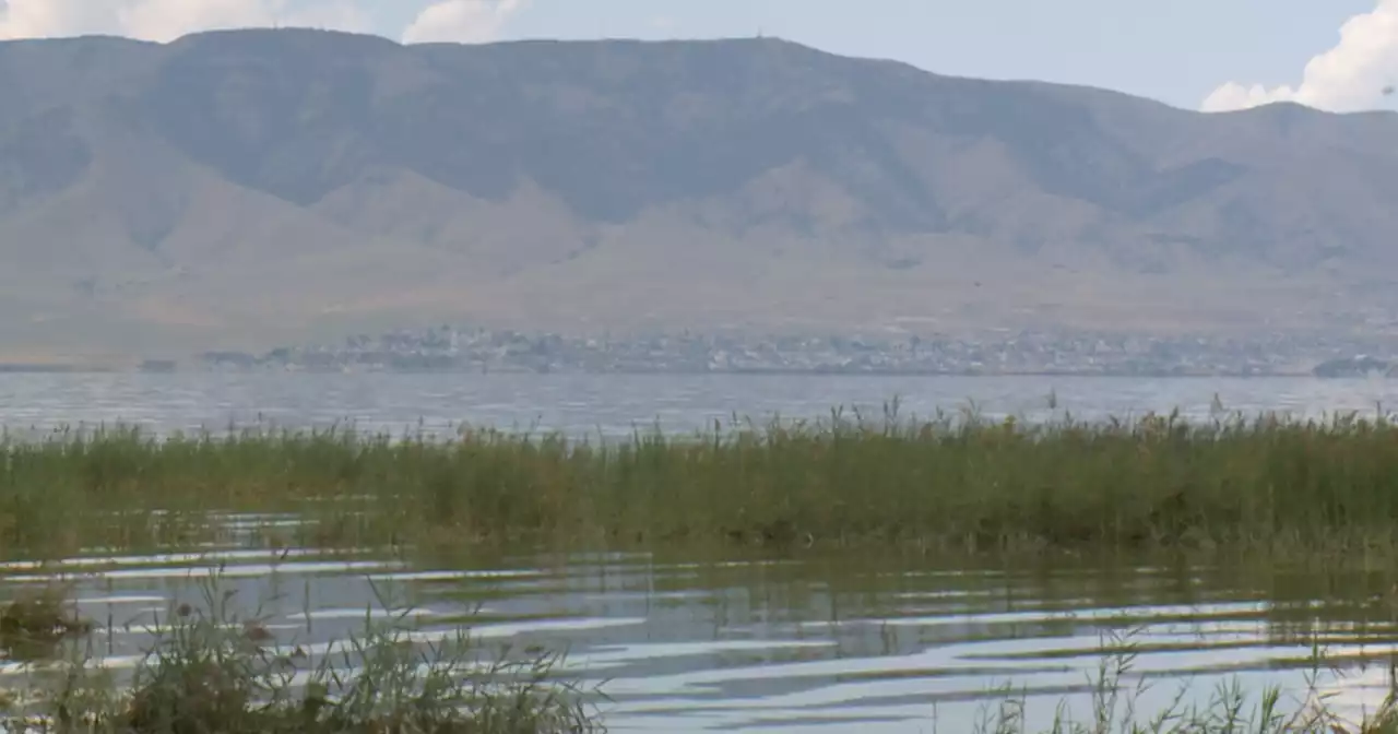 Environmental experiments on Utah Lake could lead to solutions to restore it