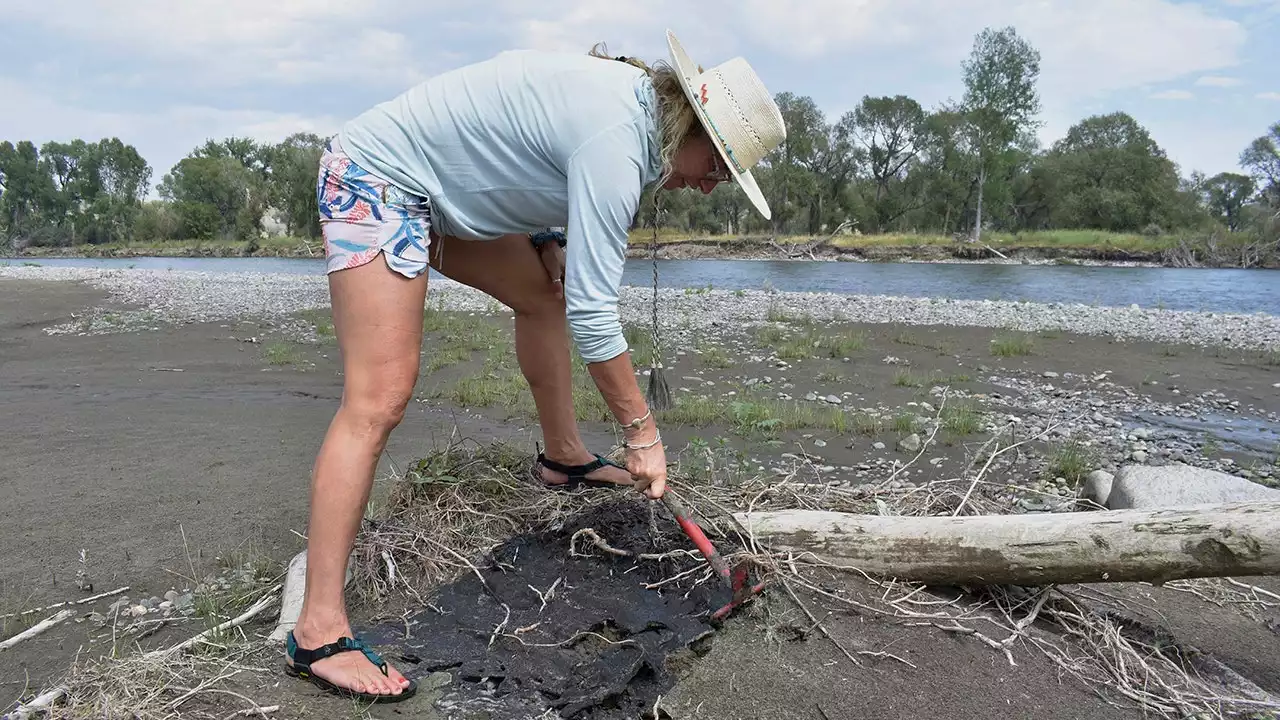 Cleanup workers are gone but petroleum asphalt is still an issue in Yellowstone River following derailment