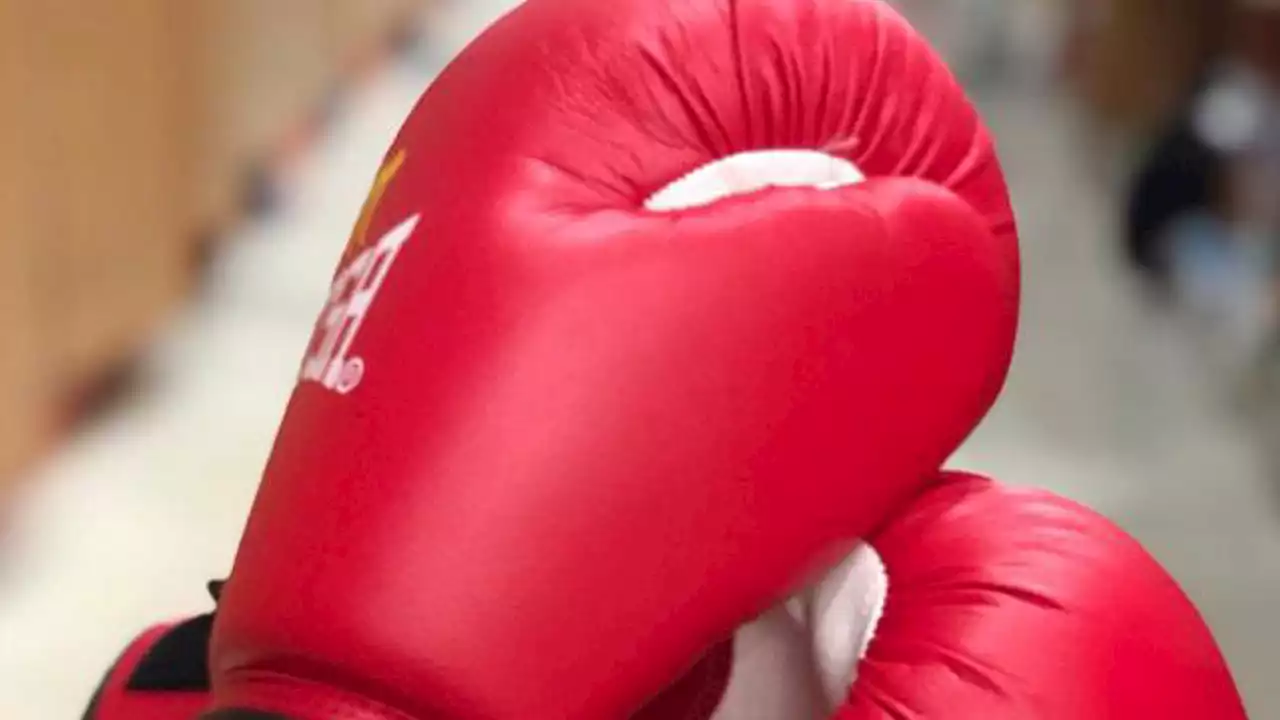 Boxing federation begins preparations for Dakar 2023 African qualifiers | The Guardian Nigeria News