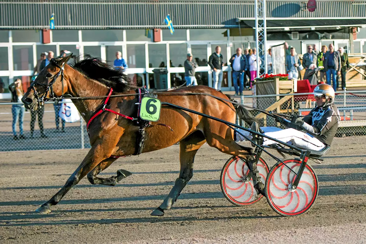 VM-guld igen för Rick Ebbinge – och Johan x 6 i derbyt