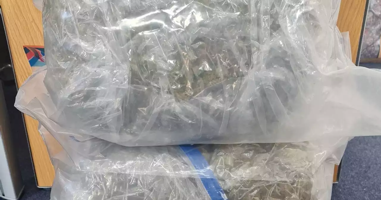 Cannabis worth nearly €300,000 seized in Louth