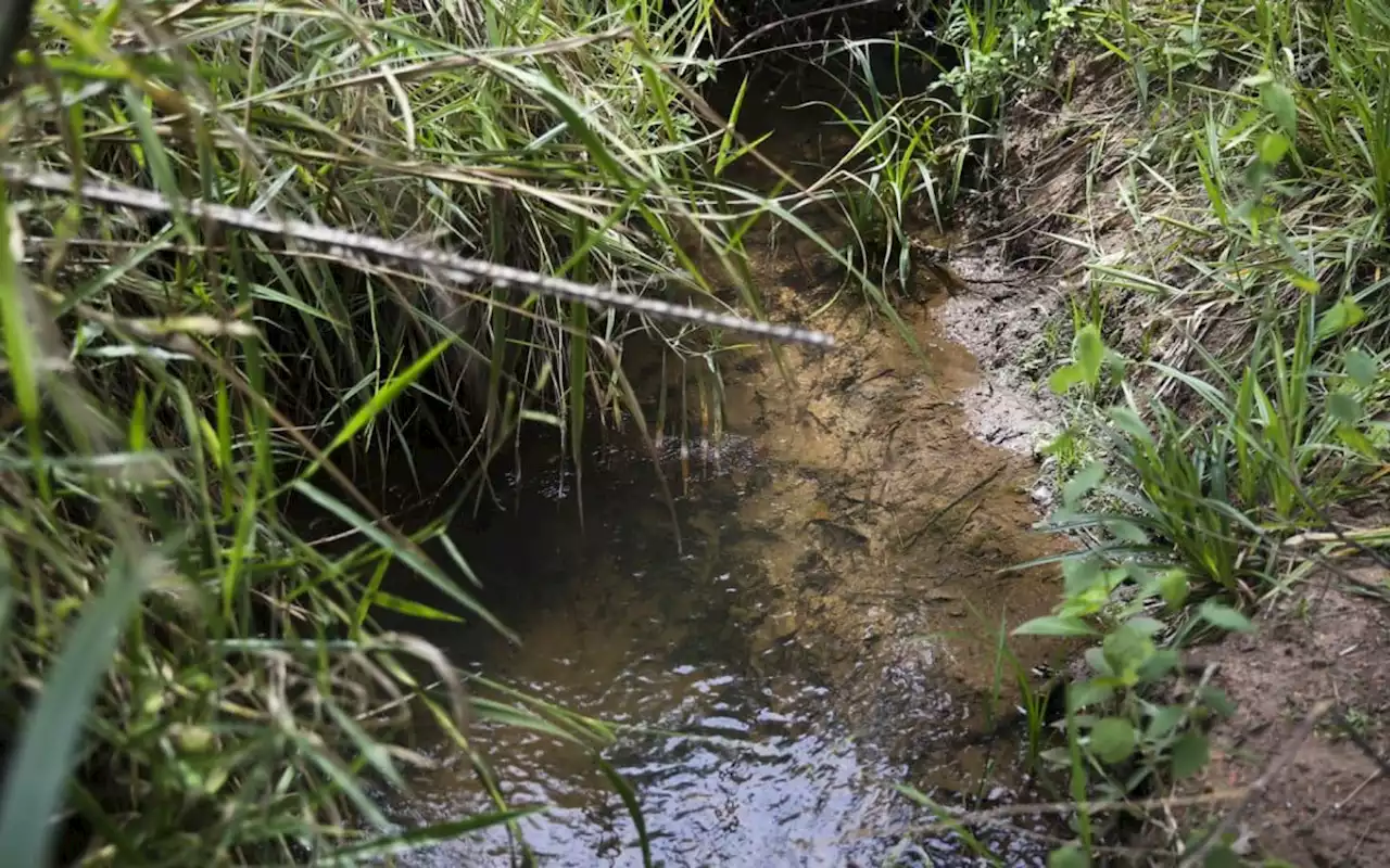 Lei inclui recuperação de nascentes na legislação ambiental | Brasil