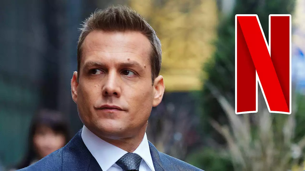 „Suits“-Revival nach überraschendem Netflix-Erfolg? Serienschöpfer spricht Klartext