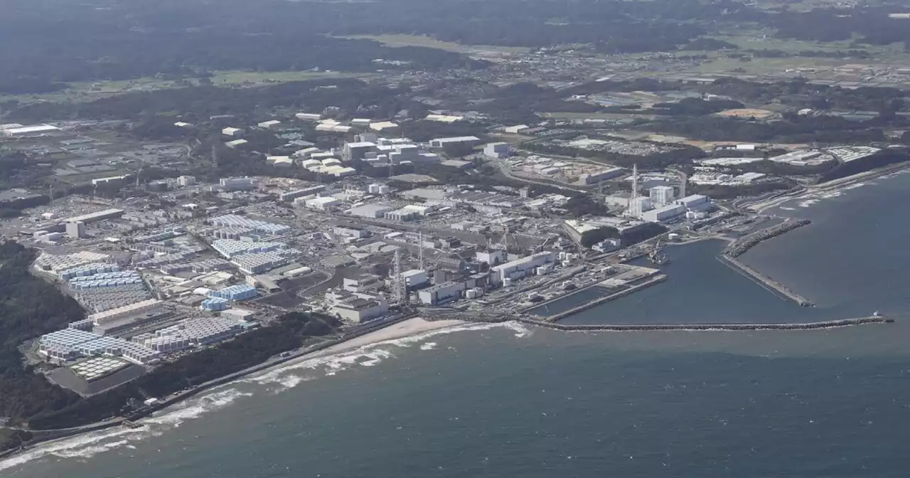 Worries over seafood safety mount as Japan releases Fukushima water into the Pacific