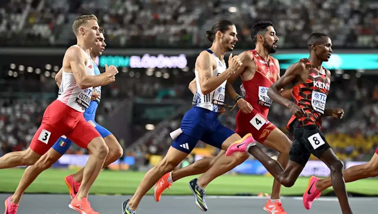 Athlétisme : Le Lot-et-Garonnais Gabriel Tual s'arrête en demi-finale des championnats du monde du 800 m à Budapest