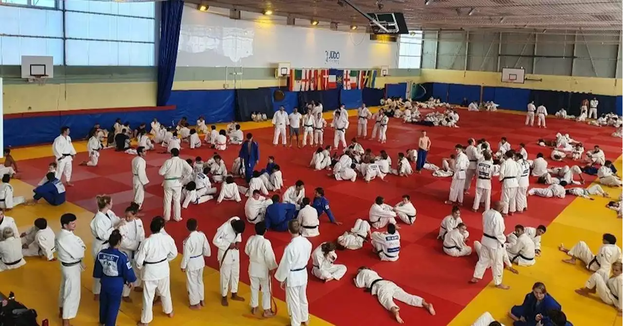 Dans le Vaucluse, des judokas venus de neuf pays se retrouvent sur les tatamis