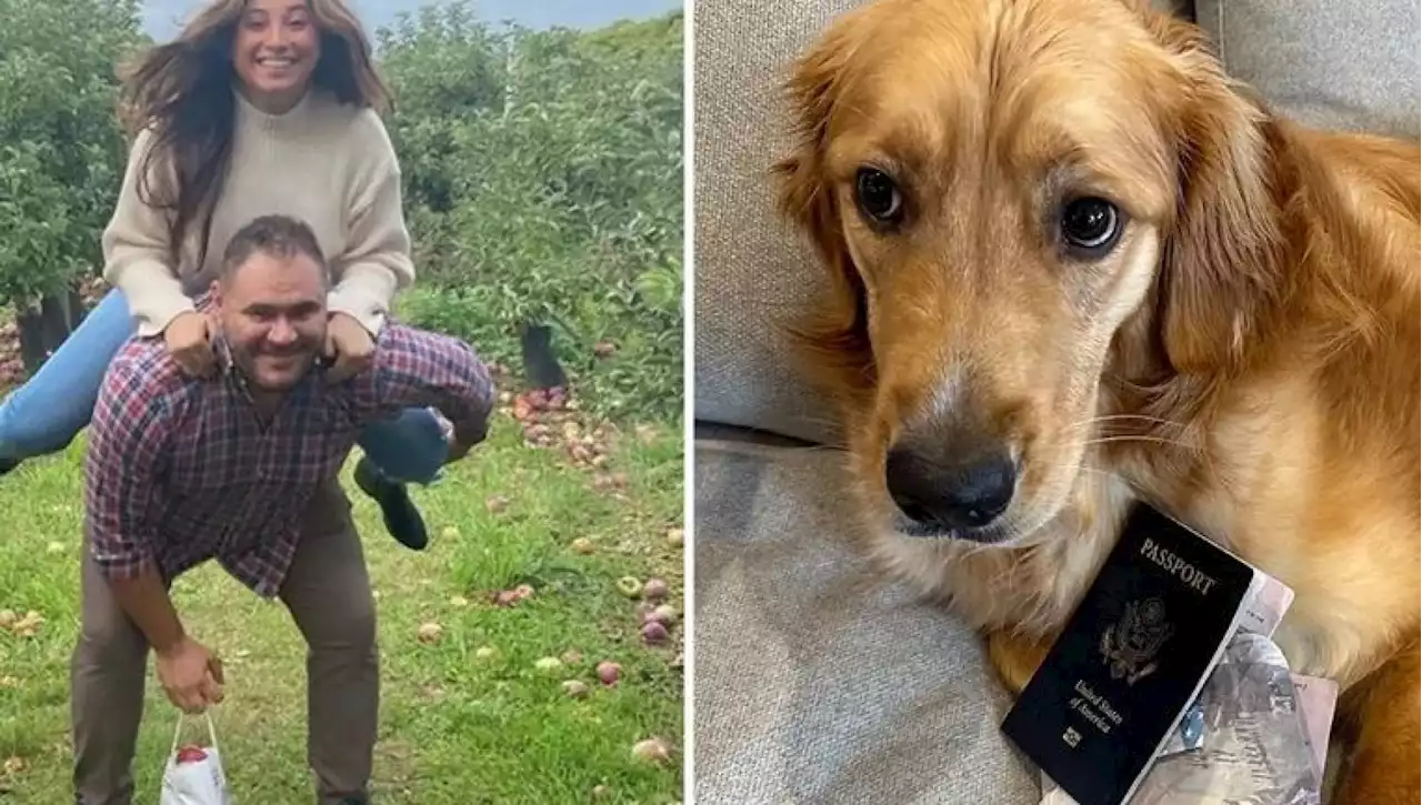 Il cane Chickie mangia il passaporto del futuro sposo, a rischio le nozze in Italia per una coppia americana